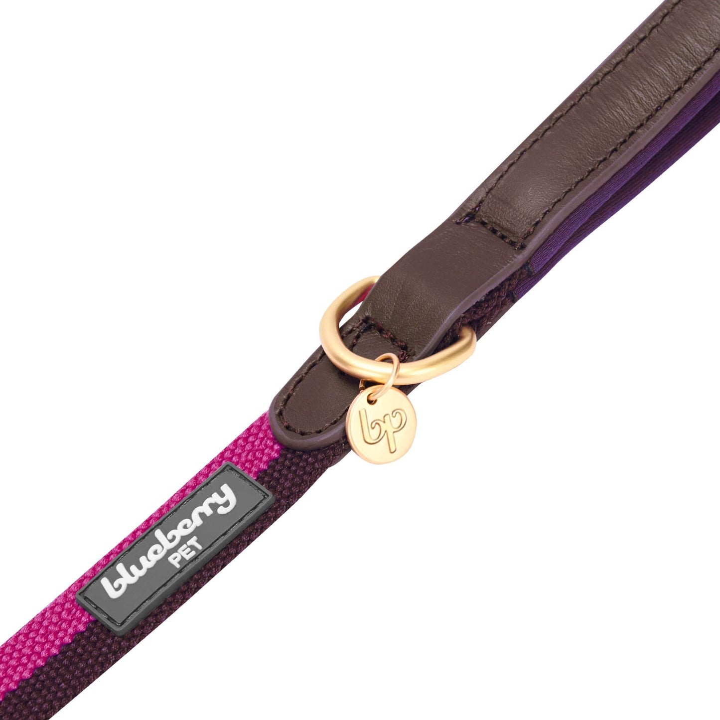 Full Grain Leather & Polyester Dog Leash